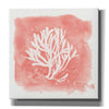 'Water Coral Cove III' by Lisa Audit, Canvas Wall Art