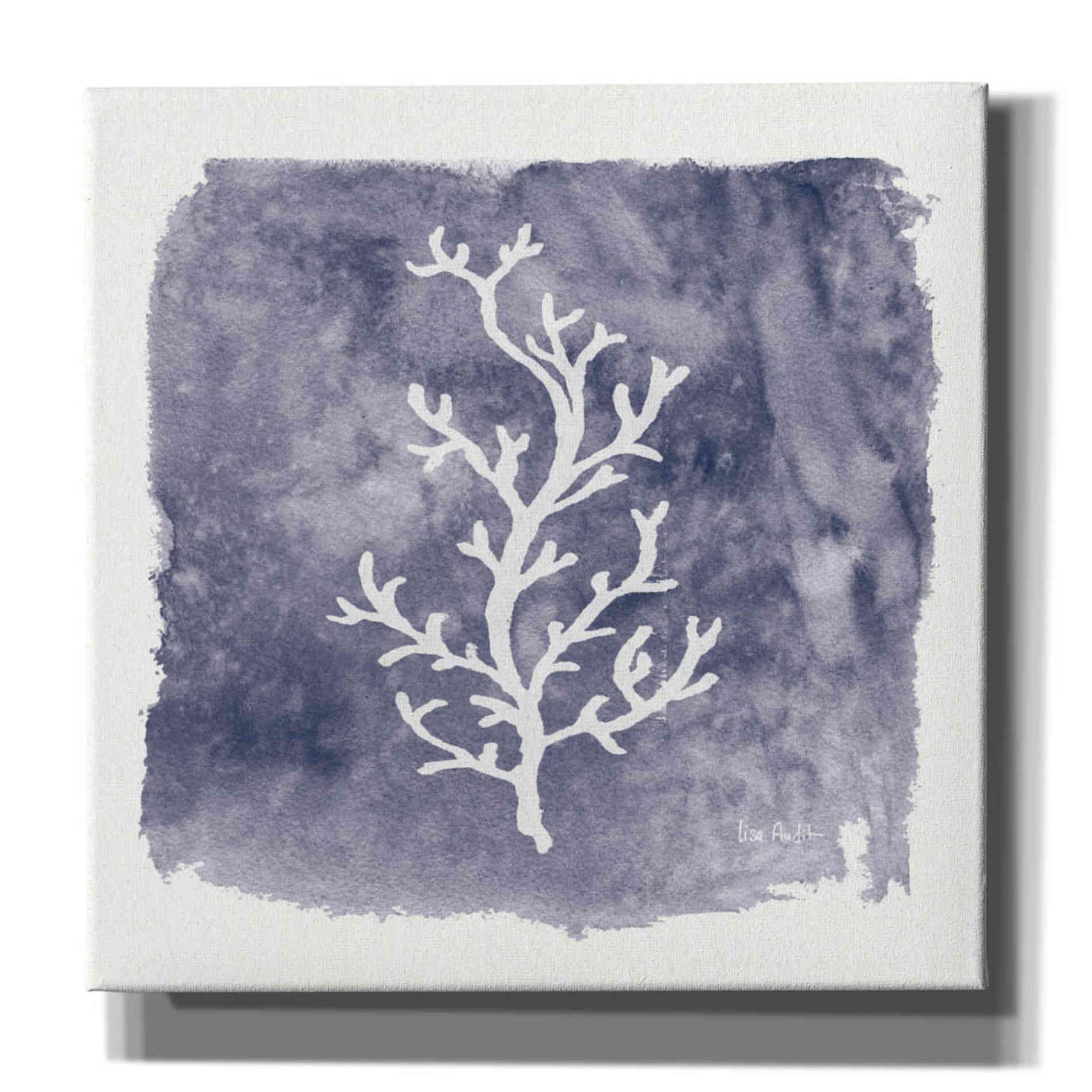 'Water Coral Cove IV' by Lisa Audit, Canvas Wall Art