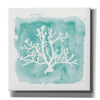 'Water Coral Cove V' by Lisa Audit, Canvas Wall Art
