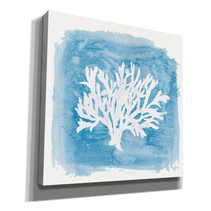 'Water Coral Cove VI' by Lisa Audit, Canvas Wall Art