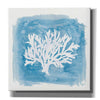 'Water Coral Cove VI' by Lisa Audit, Canvas Wall Art