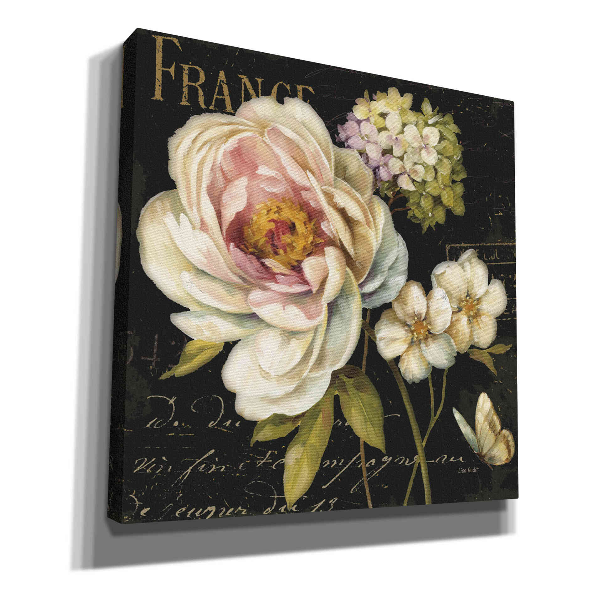 'Marche De Fleurs On Black' by Lisa Audit, Canvas Wall Art