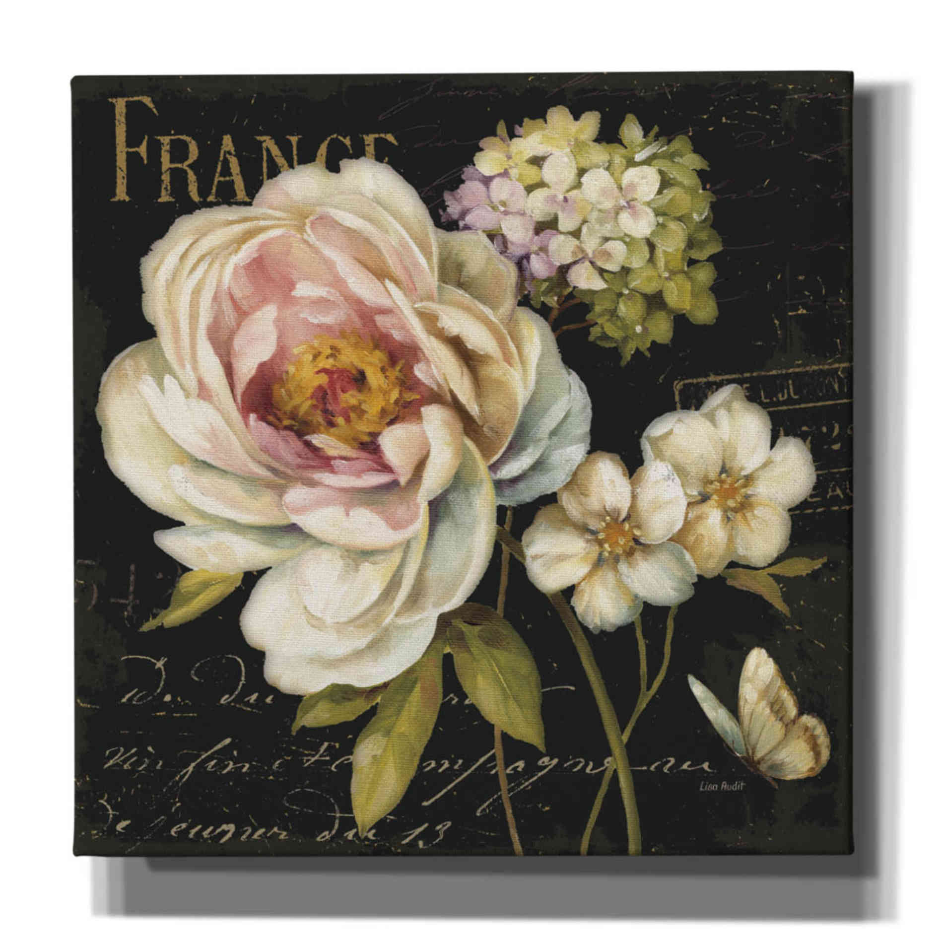 'Marche De Fleurs On Black' by Lisa Audit, Canvas Wall Art