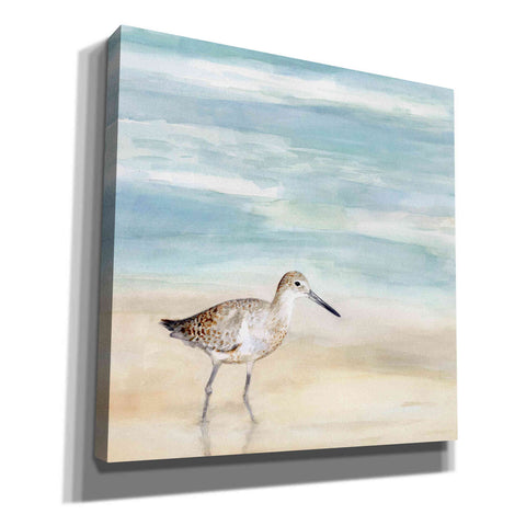 Image of 'Speckled Willet I' by Victoria Borges, Canvas Wall Art