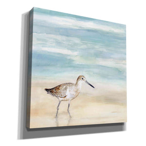 'Speckled Willet I' by Victoria Borges, Canvas Wall Art