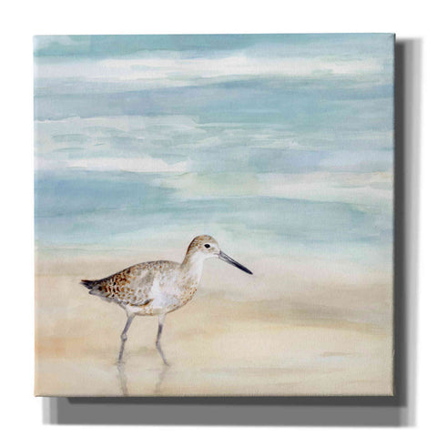 Image of 'Speckled Willet I' by Victoria Borges, Canvas Wall Art