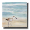 'Speckled Willet I' by Victoria Borges, Canvas Wall Art