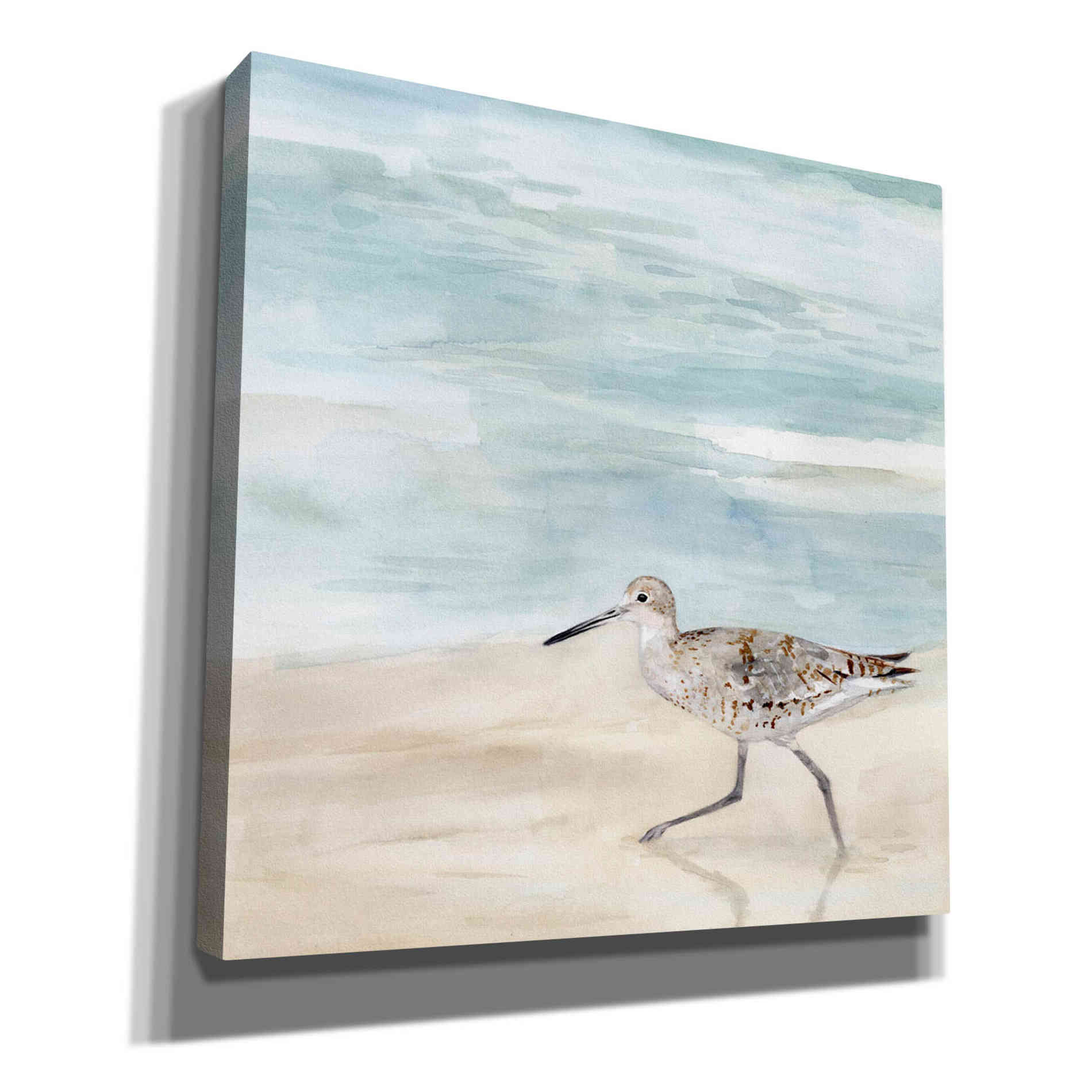 'Speckled Willet II' by Victoria Borges, Canvas Wall Art