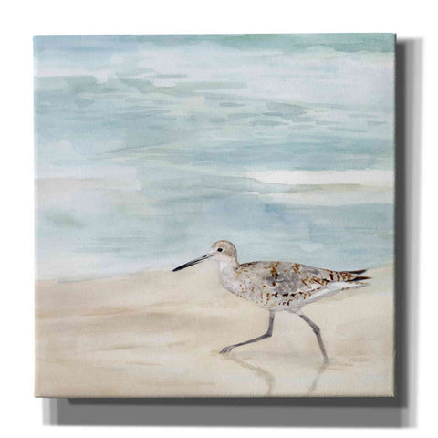 Image of 'Speckled Willet II' by Victoria Borges, Canvas Wall Art