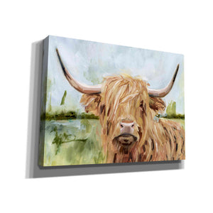 'Highland Grazer I' by Victoria Borges, Canvas Wall Art