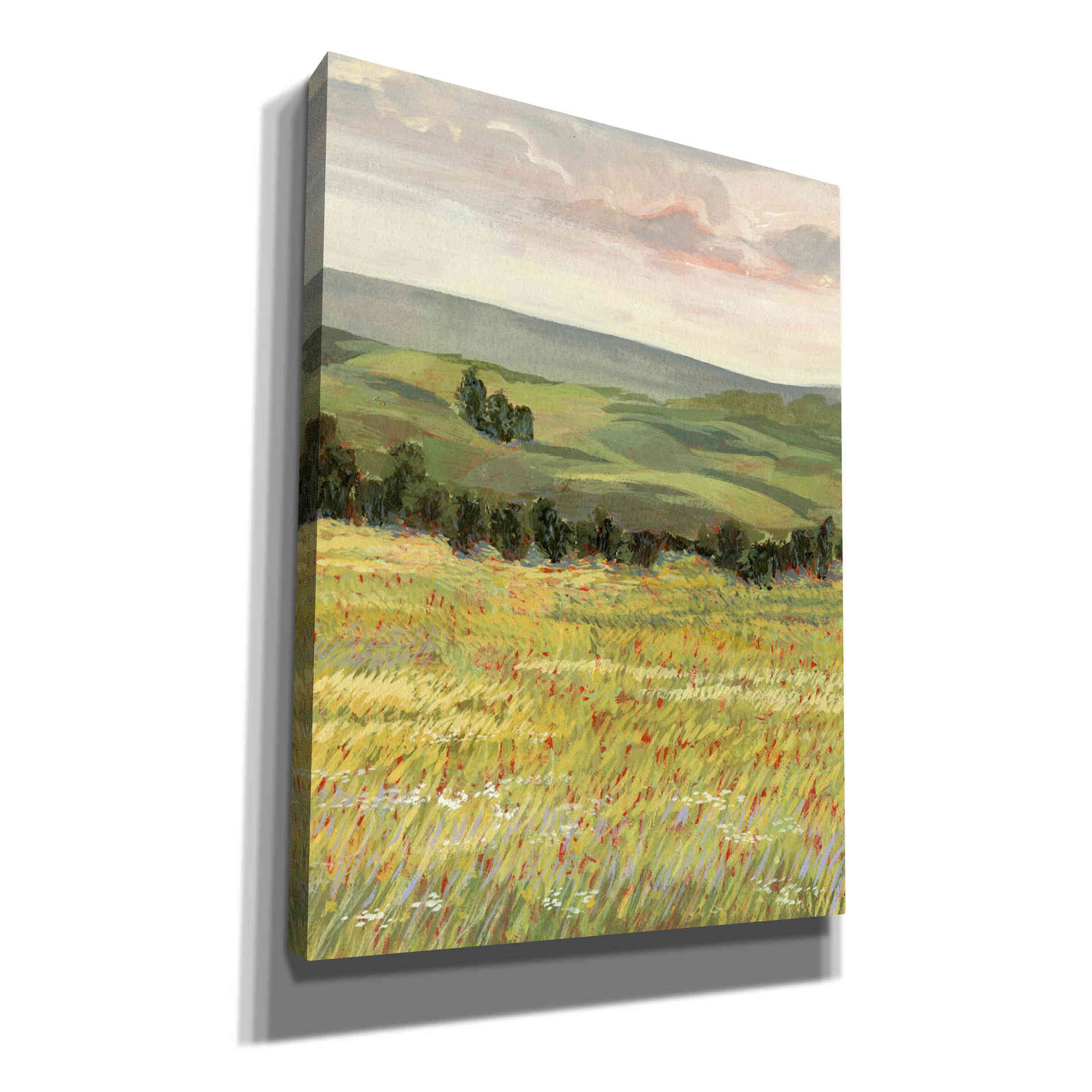 'Morning Meadow I' by Victoria Borges, Canvas Wall Art