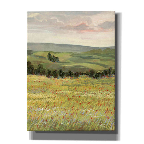 Image of 'Morning Meadow I' by Victoria Borges, Canvas Wall Art