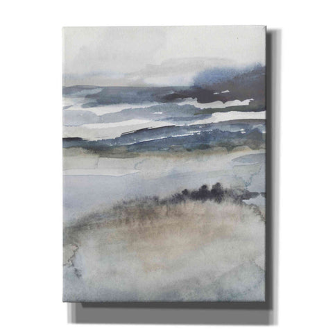 Image of 'Neutral Salt Spray II' by Victoria Borges, Canvas Wall Art