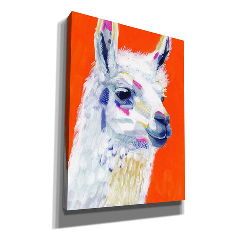 Image of 'Animal Party IV' by Victoria Borges, Canvas Wall Art