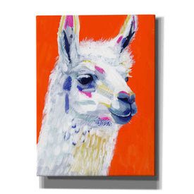 'Animal Party IV' by Victoria Borges, Canvas Wall Art
