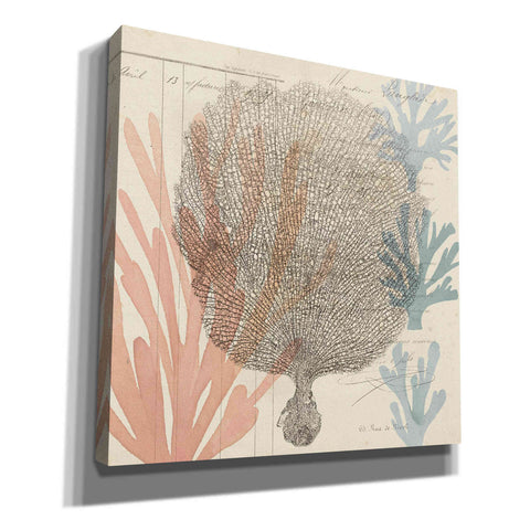 Image of 'Sea Ephemera I' by Grace Popp, Canvas Wall Glass