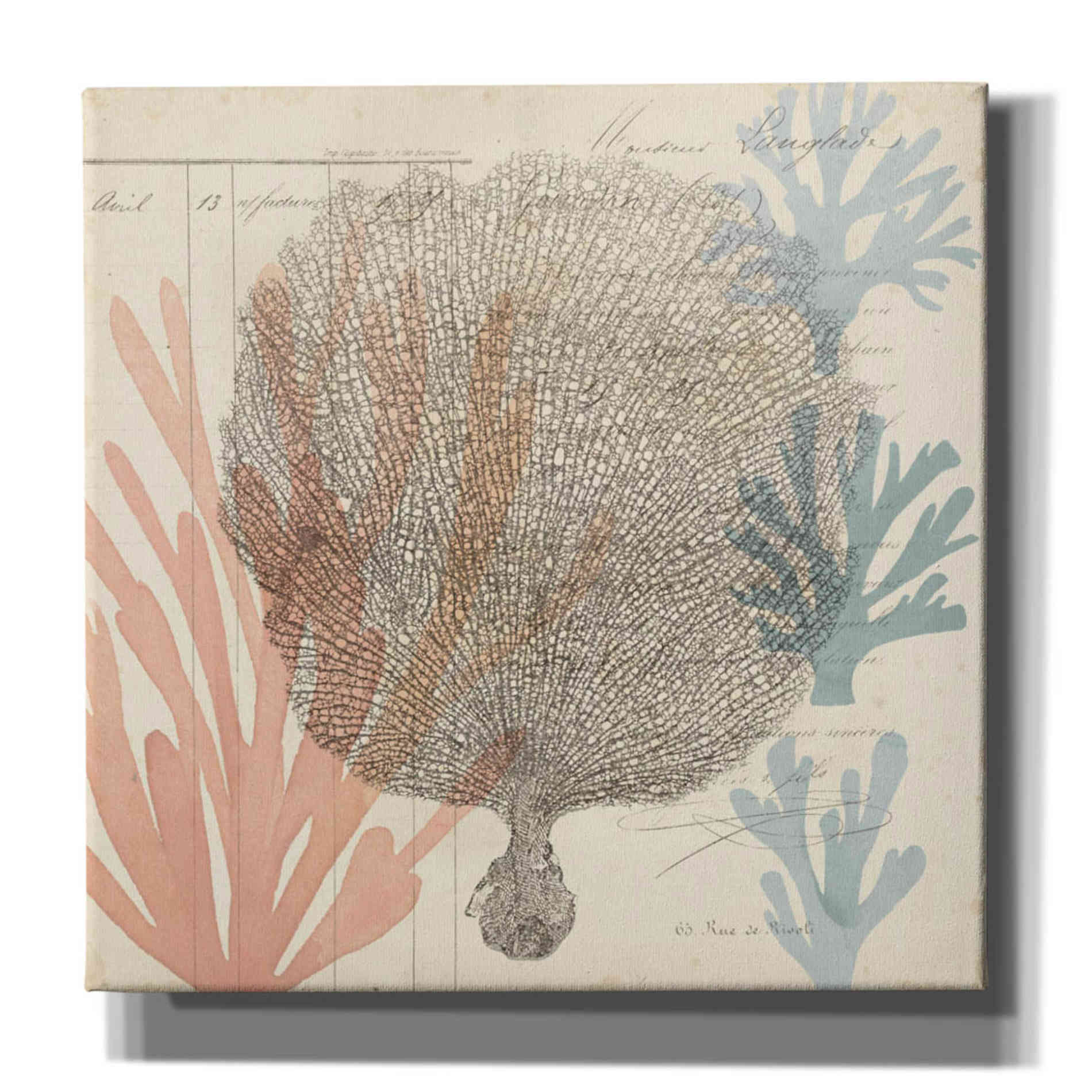 'Sea Ephemera I' by Grace Popp, Canvas Wall Glass