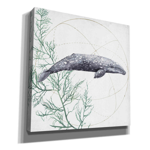 Image of 'Love of the Sea III' by Grace Popp, Canvas Wall Glass