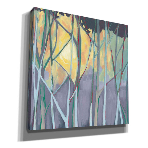 Image of 'Tangled Twilight I' by Grace Popp, Canvas Wall Glass