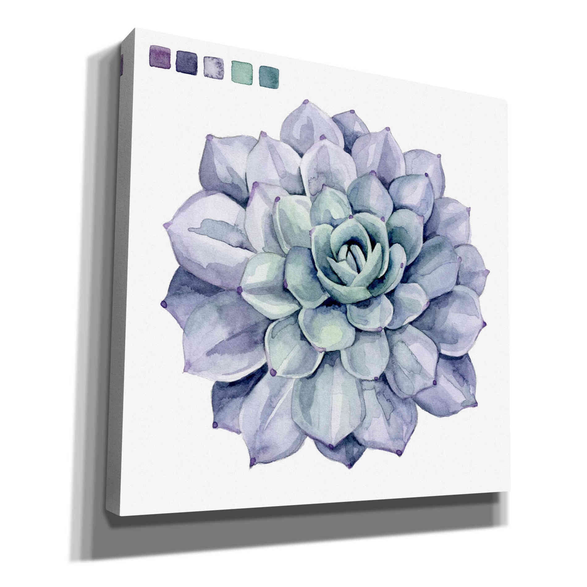 'Succulent Swatches III' by Grace Popp, Canvas Wall Glass