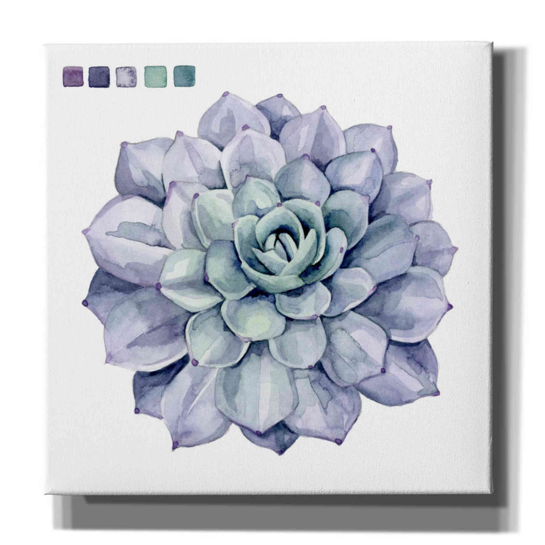 'Succulent Swatches III' by Grace Popp, Canvas Wall Glass