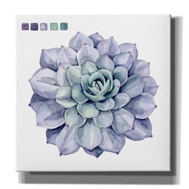'Succulent Swatches III' by Grace Popp, Canvas Wall Glass