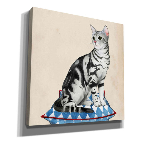 Image of 'Lady Cat I' by Grace Popp, Canvas Wall Glass