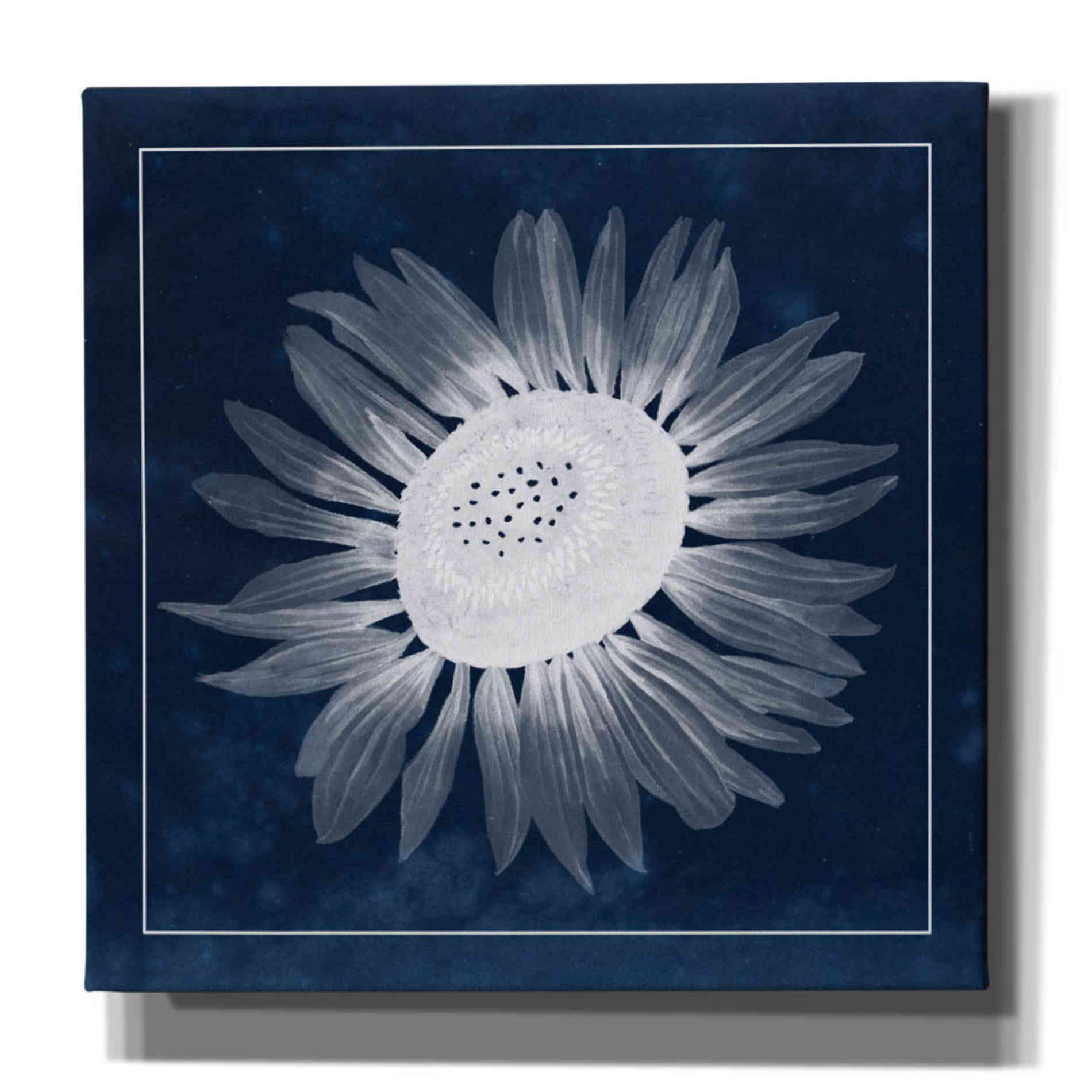 'Moon Flower II' by Grace Popp, Canvas Wall Glass