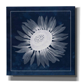 'Moon Flower II' by Grace Popp, Canvas Wall Glass