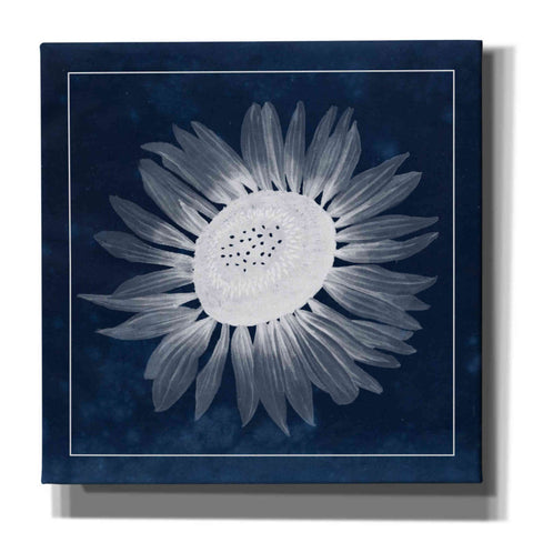 Image of 'Moon Flower II' by Grace Popp, Canvas Wall Glass