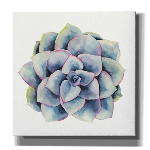 Image of 'Tropical Plant V' by Grace Popp, Canvas Wall Glass