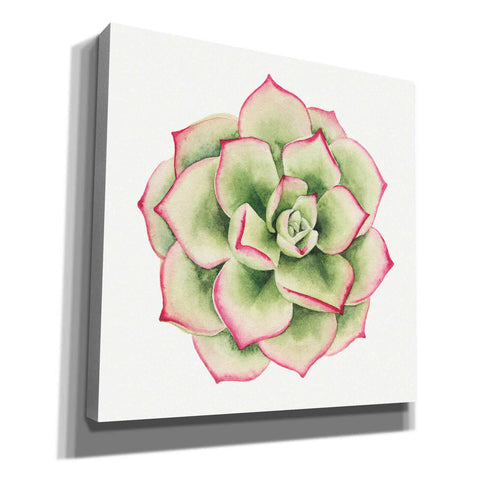 Image of 'Tropical Plant IV' by Grace Popp, Canvas Wall Glass