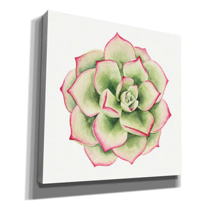 'Tropical Plant IV' by Grace Popp, Canvas Wall Glass