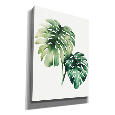 Image of 'Tropical Plant II' by Grace Popp, Canvas Wall Glass