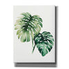 'Tropical Plant II' by Grace Popp, Canvas Wall Glass