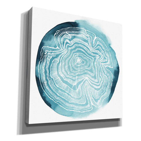 Image of 'Tree Ring Overlay IV' by Grace Popp, Canvas Wall Glass