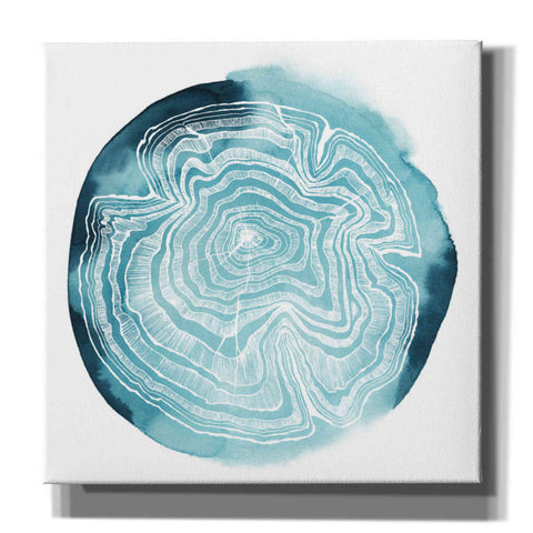 Image of 'Tree Ring Overlay IV' by Grace Popp, Canvas Wall Glass