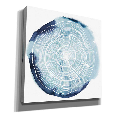 Image of 'Tree Ring Overlay III' by Grace Popp, Canvas Wall Glass