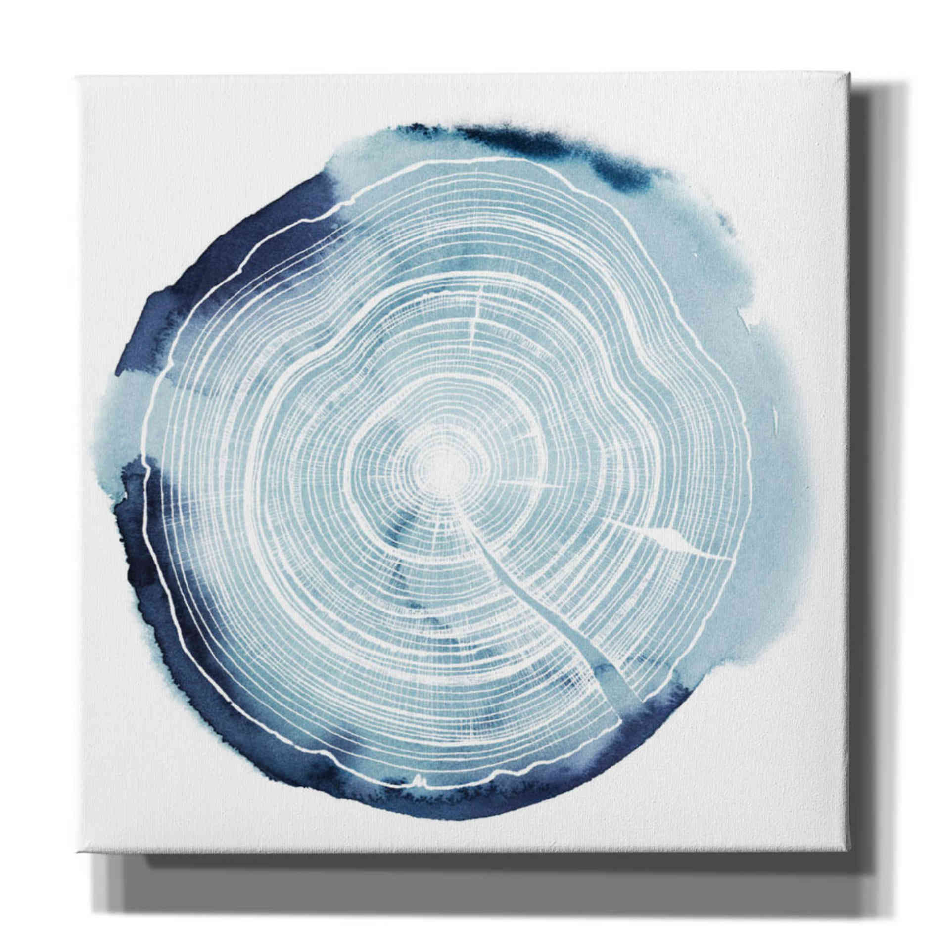 'Tree Ring Overlay III' by Grace Popp, Canvas Wall Glass