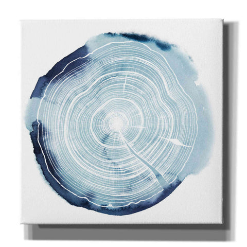 Image of 'Tree Ring Overlay III' by Grace Popp, Canvas Wall Glass