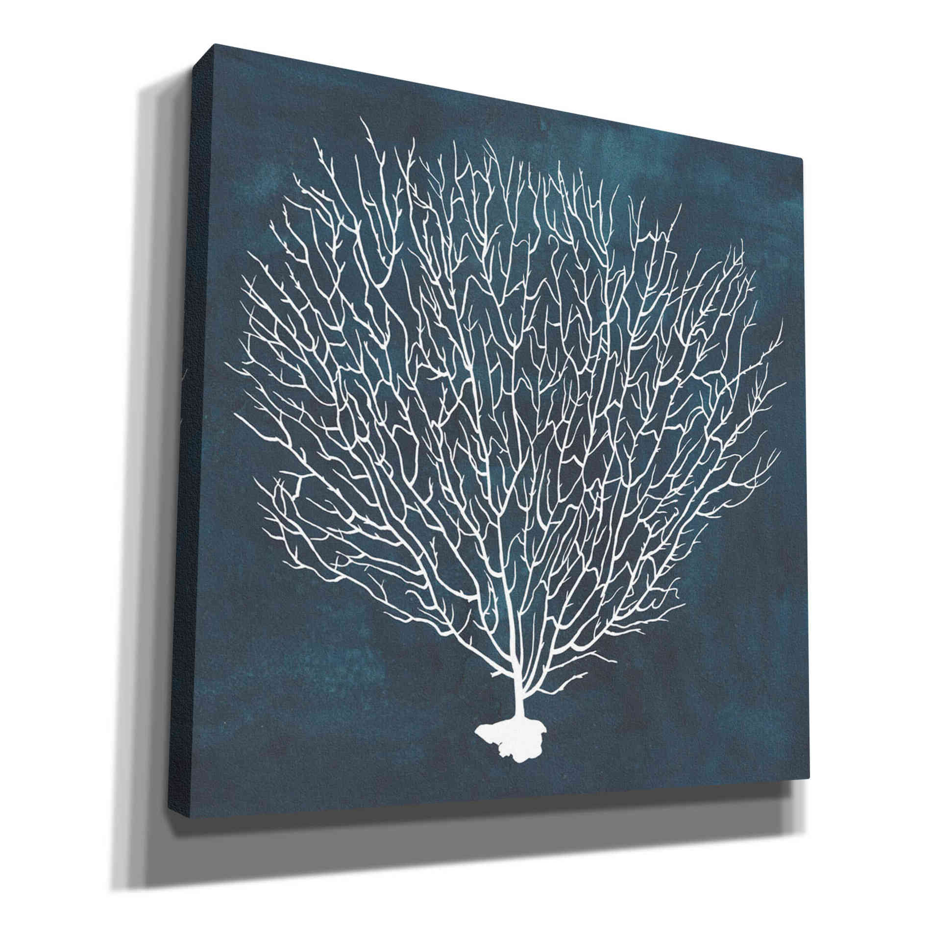'Inverse Sea Fan IV' by Grace Popp, Canvas Wall Glass