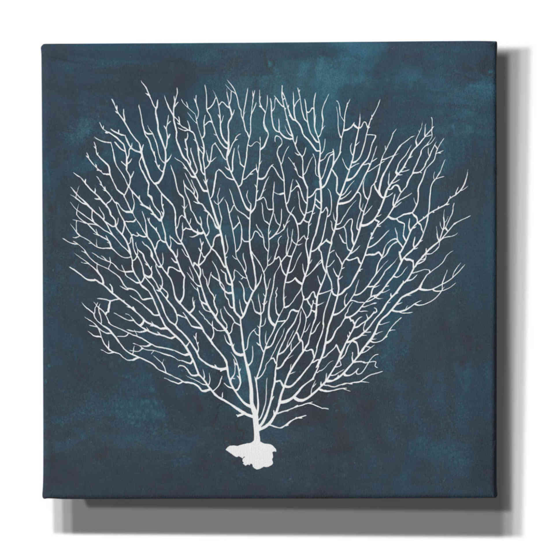 'Inverse Sea Fan IV' by Grace Popp, Canvas Wall Glass