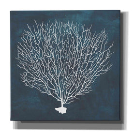 'Inverse Sea Fan IV' by Grace Popp, Canvas Wall Glass