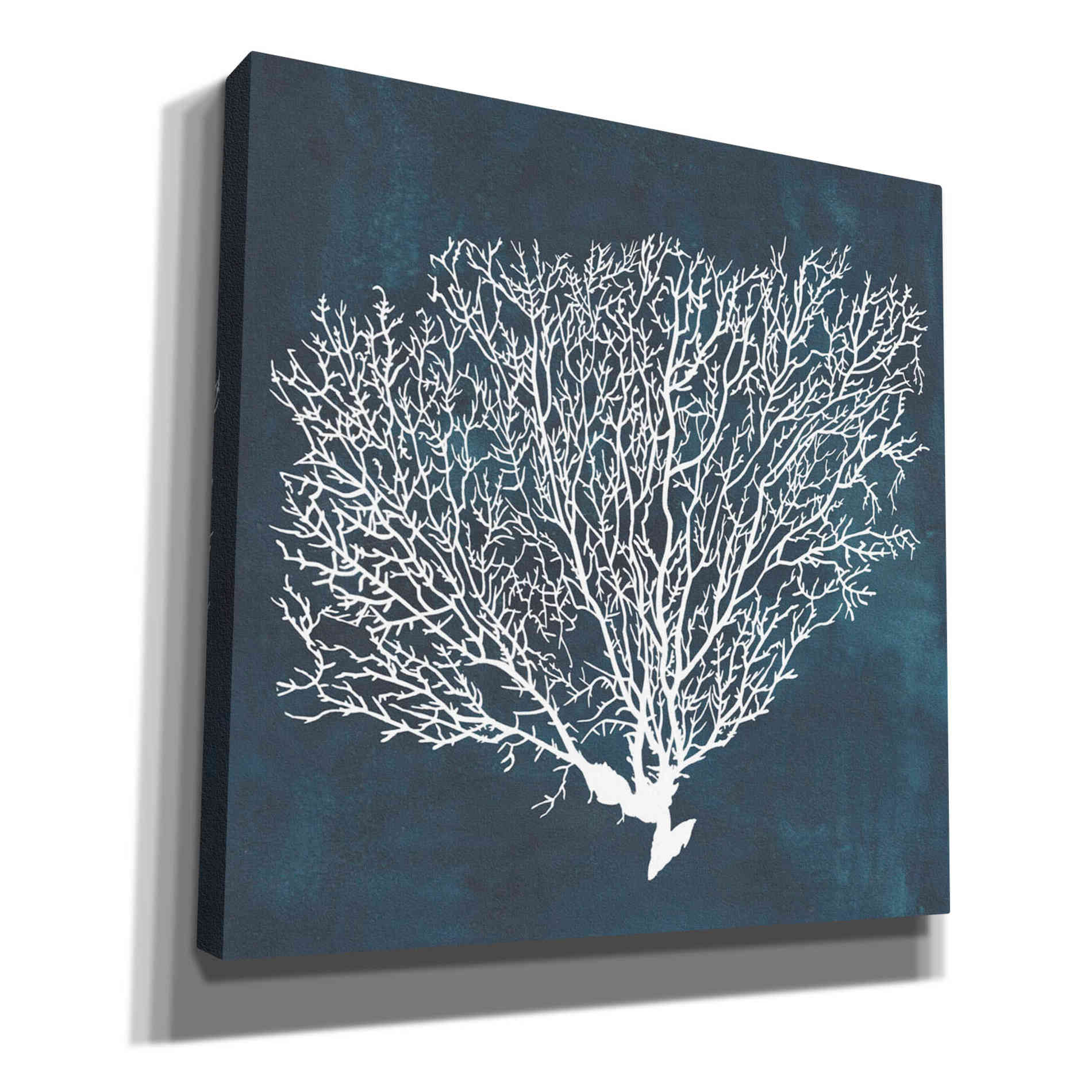 'Inverse Sea Fan II' by Grace Popp, Canvas Wall Glass