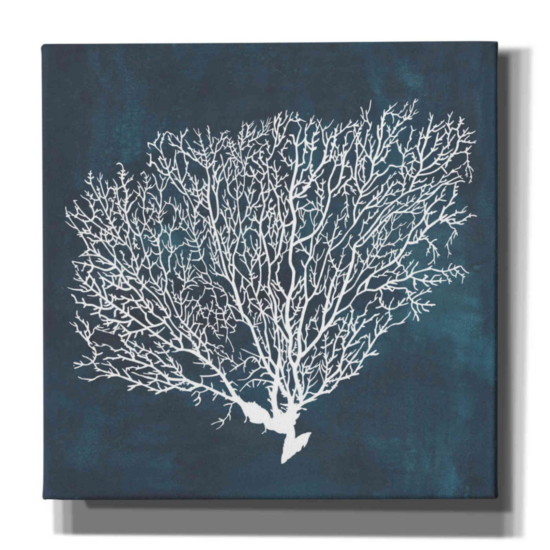 'Inverse Sea Fan II' by Grace Popp, Canvas Wall Glass