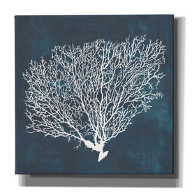 'Inverse Sea Fan II' by Grace Popp, Canvas Wall Glass