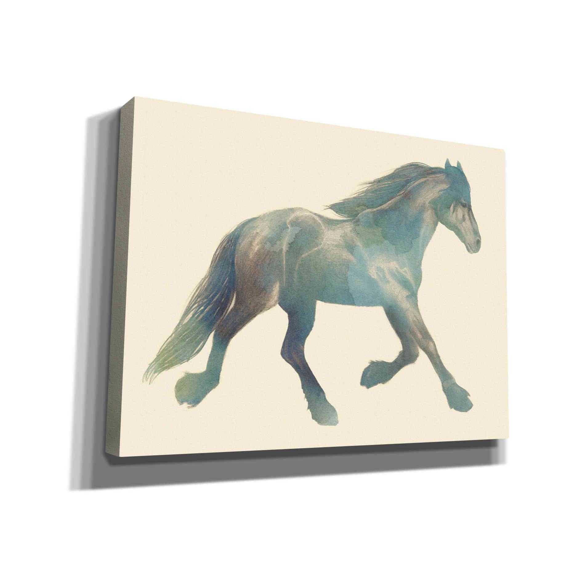 'Gypsian Paint II' by Grace Popp, Canvas Wall Glass