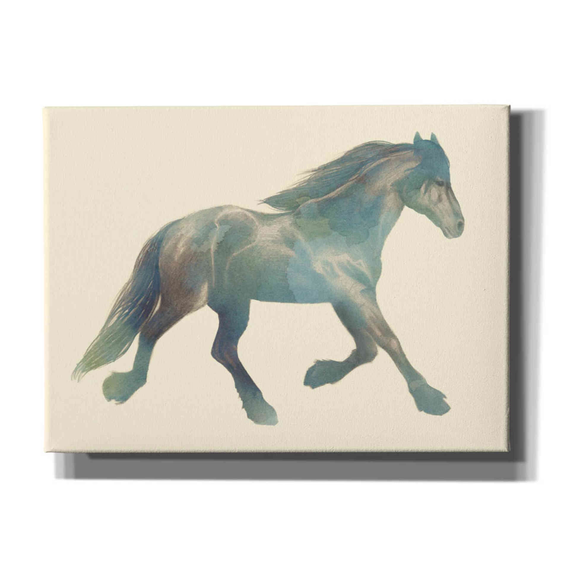 'Gypsian Paint II' by Grace Popp, Canvas Wall Glass