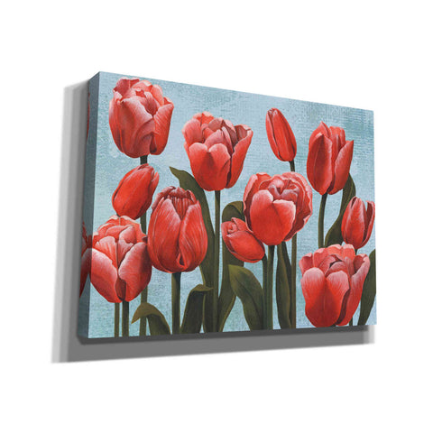 Image of 'Ruby Tulips II' by Grace Popp, Canvas Wall Glass