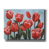 'Ruby Tulips II' by Grace Popp, Canvas Wall Glass